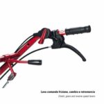 Motoazada Diesel Profesional Brumi Serie PRO (3+1) | Motores Lombardini y Brumi