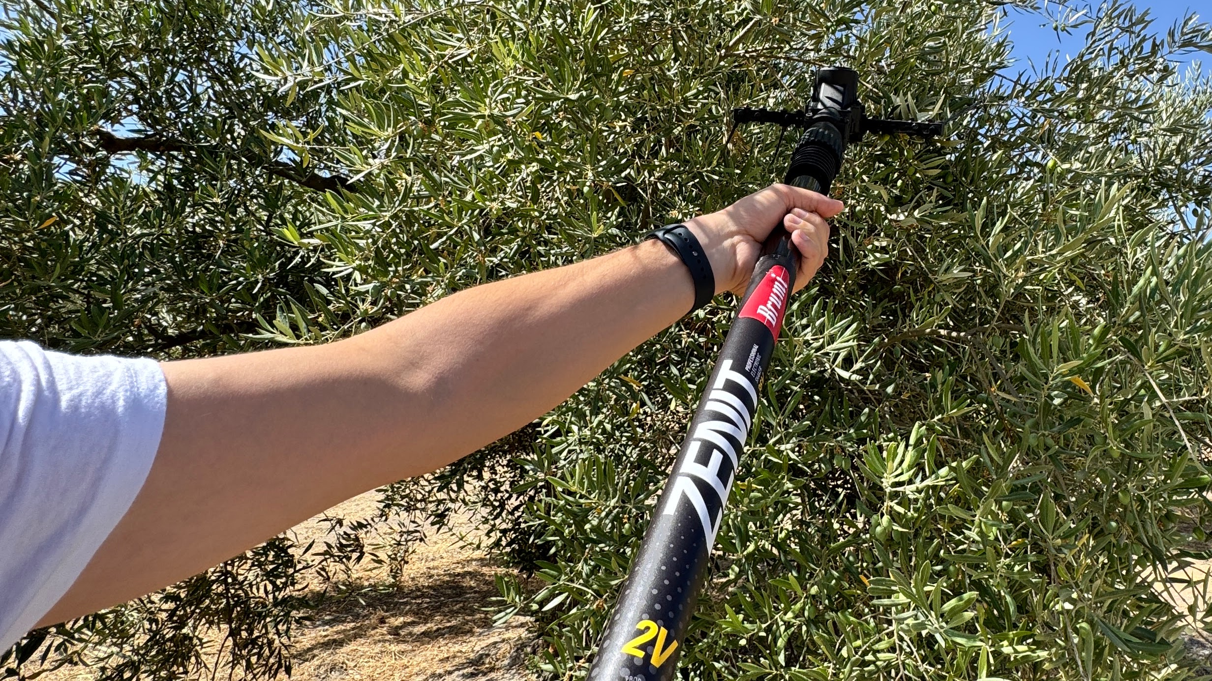 mantenimiento vareador Brumi