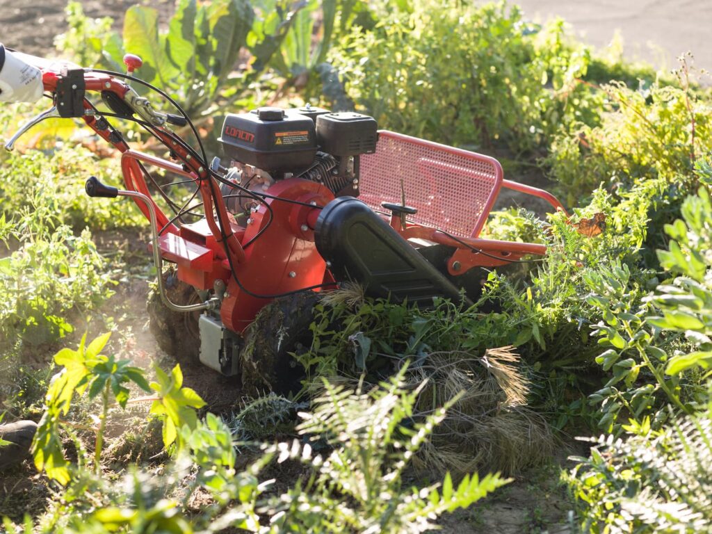 Desbrozadora de martillos Brumi eliminando zarzas altas y maleza en finca abandonada