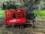 Carretilla Oruga Brumi BRC 350 | Minidumper 350kg (6.5CV – 3 Velocidades)