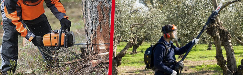 Comparación entre motosierra de gasolina y motosierra a batería en trabajos de poda