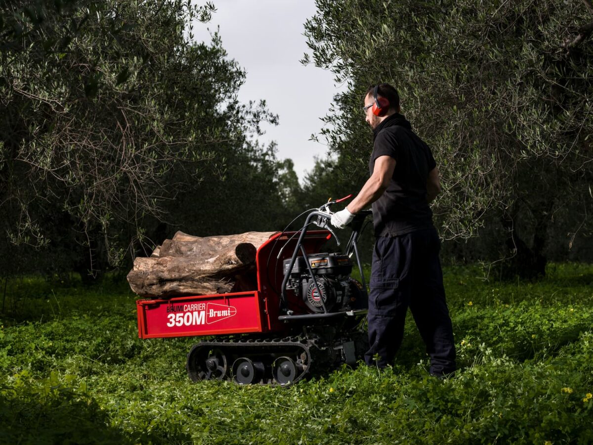 Carretilla Oruga Brumi BRC 350 | Minidumper 350kg (6.5CV – 3 Velocidades)